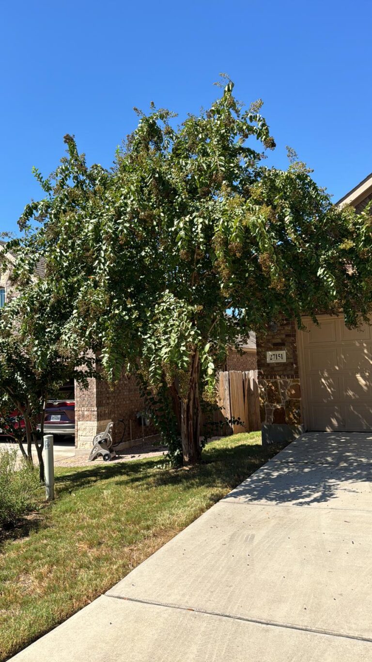 1000153475 1 768x1365