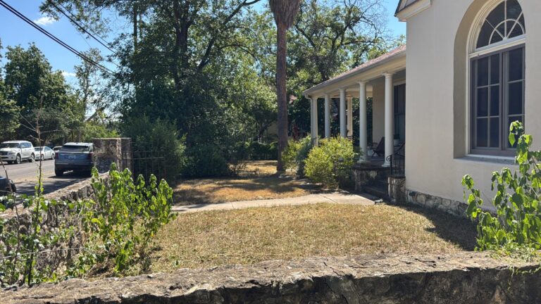 1000153605 1 768x432